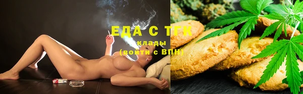индика Медногорск