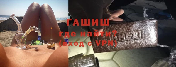 индика Медногорск
