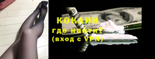 индика Медногорск