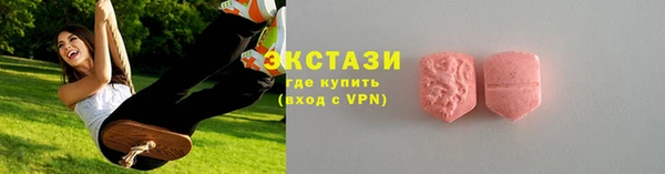 индика Медногорск