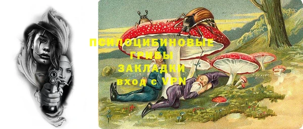индика Медногорск