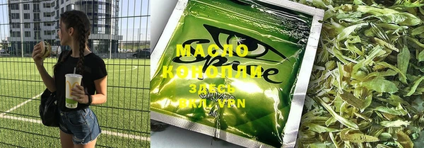 индика Медногорск