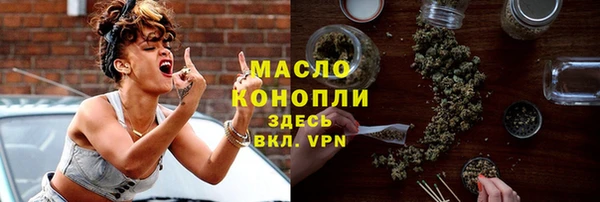 индика Медногорск